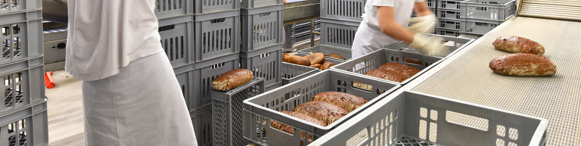 HACCP broodkratten