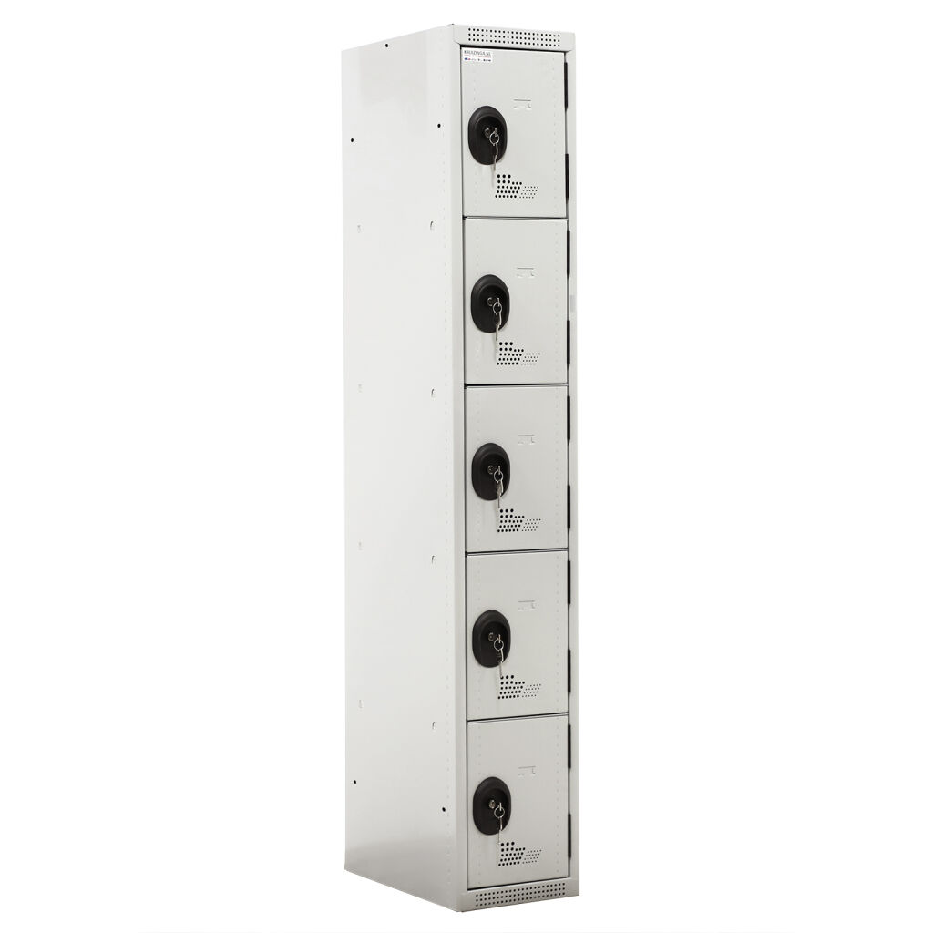 Casier 5 portes (cylindre) Occasion