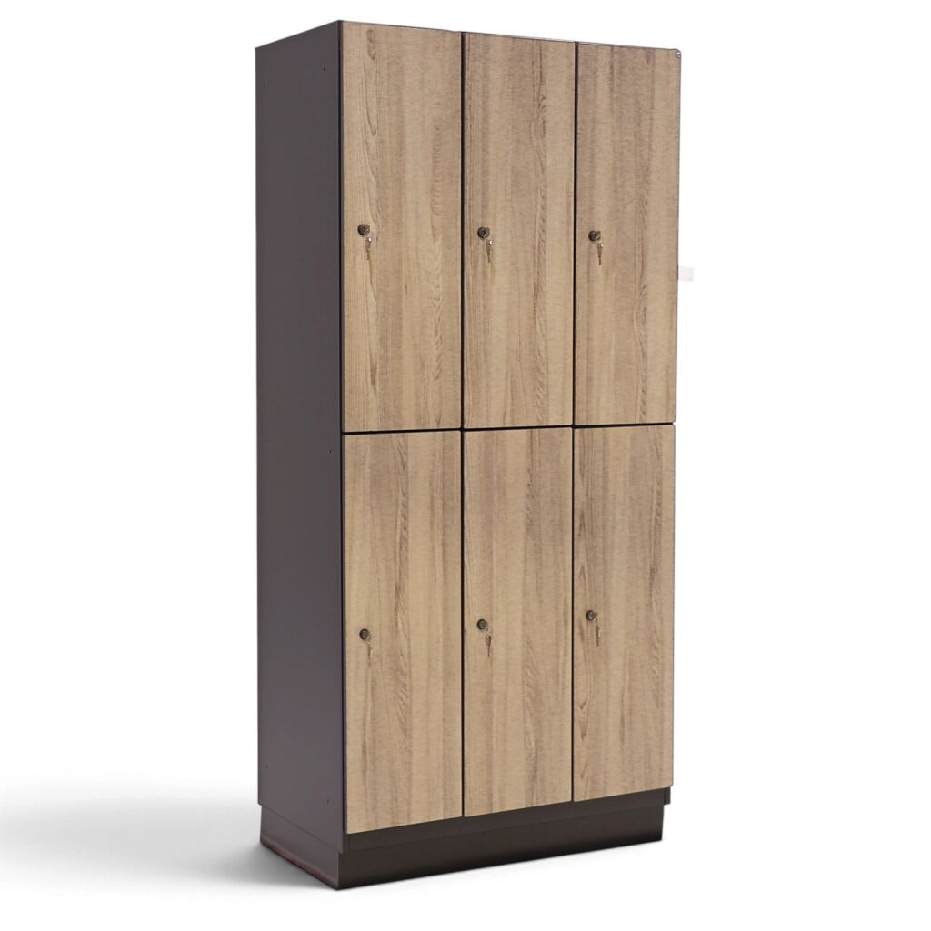 Casier 6 portes (cylindre) Occasion