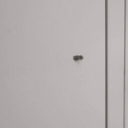 Used Locker cabinet 3 doors (cylinder lock)
