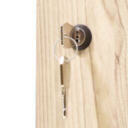 Casier 6 portes (cylindre) Occasion