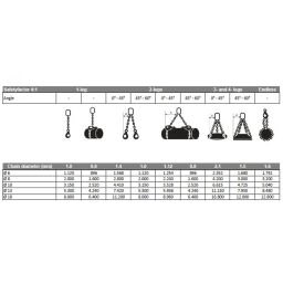 Lifting chain 2-jump with safety and retaining hooks, Ø 8 mm, 2000 kg 